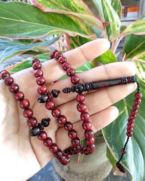 Jual Tasbih Akar Laut Bahar Tali Arus Merah Tembus Kdinz Di Lapak