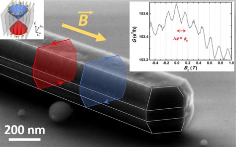 Topological Spintronics Spintec