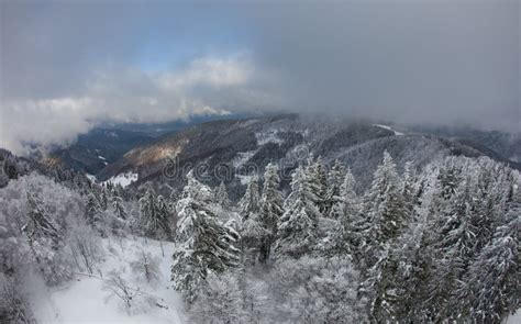 Winter In Black Forest Germany Royalty Free Stock Photos Image 35721948