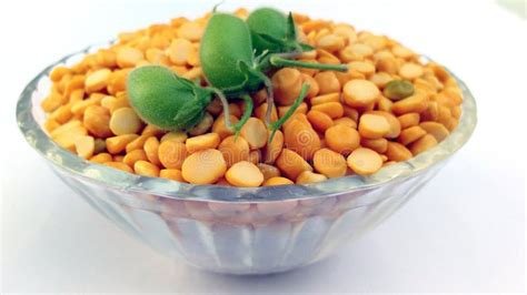 Gram pulses and fruits stock image. Image of besan, variety - 211891683