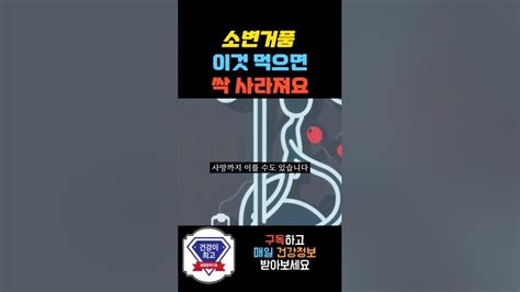 소변거품이 많다면 이것 먹으면 오줌거품 싹다 사라집니다 단백뇨 소변거품없애는방법 Youtube