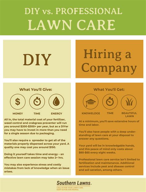 Diy Vs Professional Lawn Care Southern Lawns Auburn Al