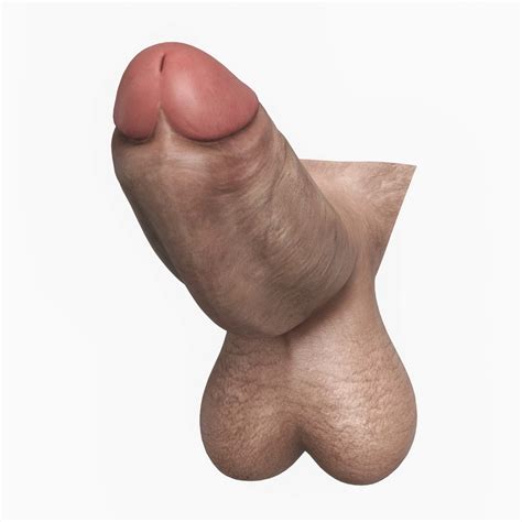 Man Monster Penis 3D Model By Cgtools