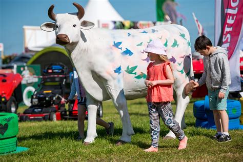 Cork Summer Show 2017 Flickr