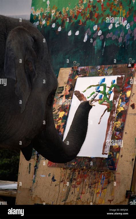 Thailand North Chiang Mai An Elephant From Maesa Elephant Camp Painting