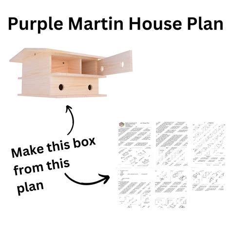 Bird Nest Box Plan Purple Martin Nest Colony Box Diy Eight Chamber Purple Martin Nesting House