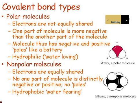 Explain The Difference Between Nonpolar Molecules And Polar Molecules