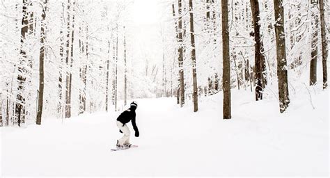 Michigan Lodging Top Northern Michigan Golf And Ski Resort Shanty