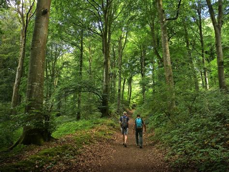 Pays de Bray la Forêt du Hellet Carnets de Rando