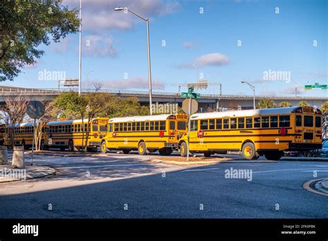 Row Of Yellow School Buses Parked Inline Stock Photo Alamy