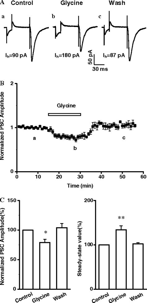 Figure 1 From Glycine Receptor Activation Regulates Short Term