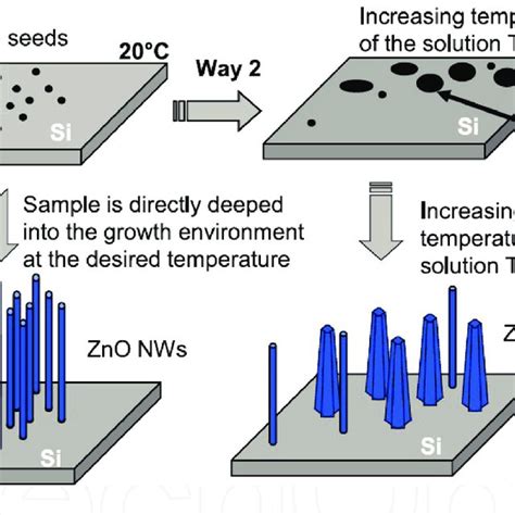 Schematic Sketch Of Two Possible Routes For Zno Nanowire Array