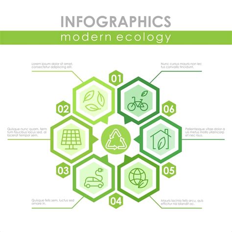 Modelo De Infográfico De Ecologia Moderna Baixa Emissão Sustentável De