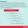 What Is A Brand Hierarchy And Why It Matters In Business - FourWeekMBA