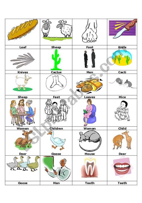 The Most Common Irregular Plural Nouns In English Irregular 44 Off