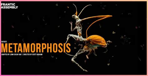 Frantic Assembly Metamorphosis Culture Liverpool