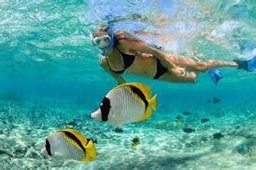 Culebra Snorkeling Tour - Puerto Rico | Bespoke Lifestyle Mgmt