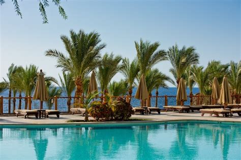 Plage Avec Palmiers Parasols Et Transats Photo Premium