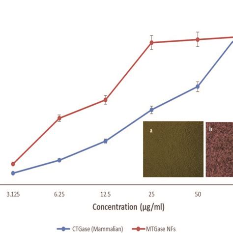 Cell Viability And Ic Mtt Assay Showing The Viability Of Mcf Cells