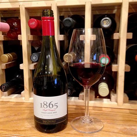 San Pedro 1865 Single Vineyard Pinot Noir 2015 Gus Clemens On Wine