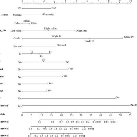 The Nomogram For Predicting 1 Year 3 Year And 5 Year Survival For Download Scientific Diagram