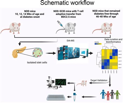 A Discovery Based Proteomics Approach Identifies Protein Disulphide