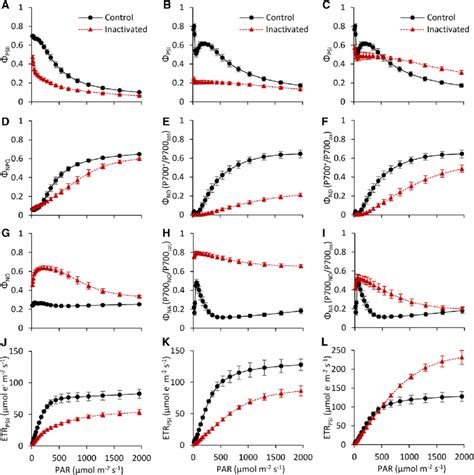 Light Response Curves Of Parameters Derived From Chlorophyll Download Scientific Diagram