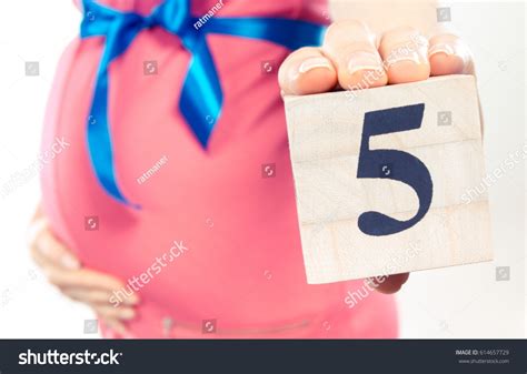 685 5 Months Pregnant Images, Stock Photos & Vectors | Shutterstock