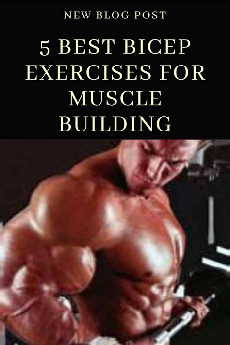 5 Best Tricep Exercises For Muscle Building Artofit