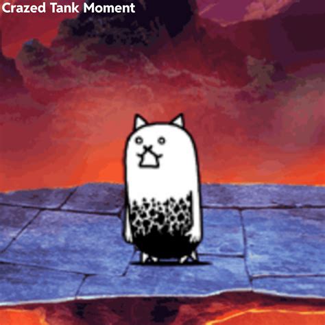 Crazed Tank Cat All There Is To It Just Crazed Tank Cat R