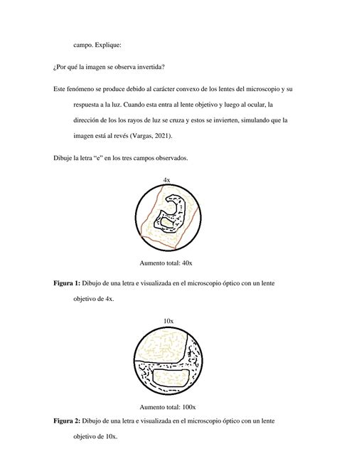 SOLUTION Reporte 3 Introducción a la Microscopía USFQ Studypool