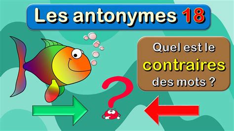 Quel Est Le Contraire Des Mots Fran Ais Jouer Avec Les Antonymes