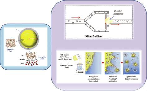 A Nanoemulsion Core Shell Structure A Lipophilic Core Where