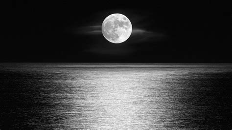 Sea Moon Wallpapers Top Free Sea Moon Backgrounds Wallpaperaccess