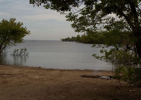 How Is Fishing On Oologah Lake Trickyfish