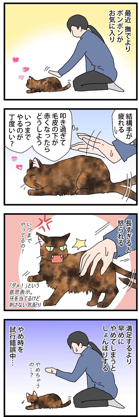 満足のタイミング 保護猫かやさん～凛々しいサビ猫様と私～