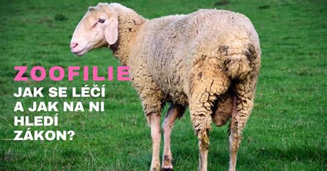 Sex se zvířaty nechutná úchylka není nezákonná