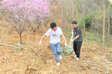 新春添新绿！这项活动有意义！澎湃号·政务澎湃新闻 The Paper