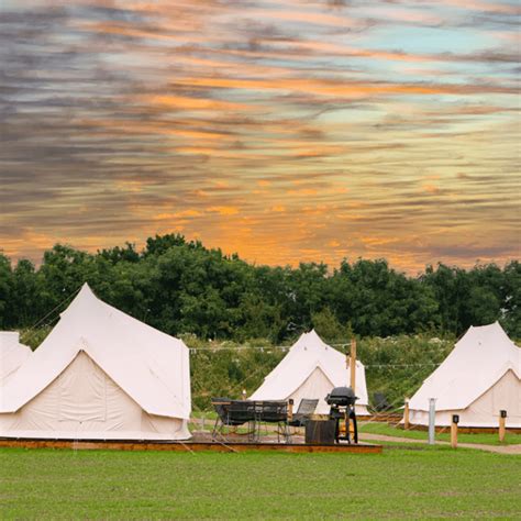 Glamping Marsk Camp