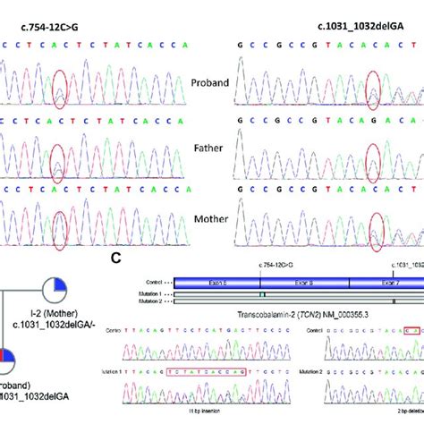 Primers Of Sanger Sequencing And Reverse Transcription Pcr Rtpcr