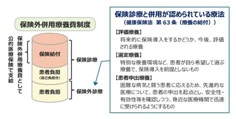 治験における保険外併用療養費制度｜シミックヘルスケア・インスティテュート（chi） シミックヘルスケア・インスティテュート株式会社（chi）