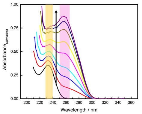 UV visible absorption of Metformin 100 μM in solution black trace