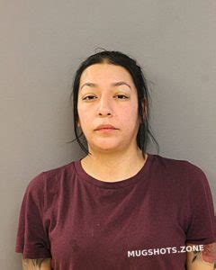 Daisy Ortiz Chicago Mugshots Zone