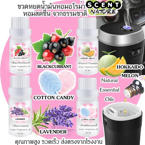 น้ำมันหอมระเหย Essential Oil 100 ขนาด 10 มิล Scentnature มีหลายกลิ่นให้เลือก พร้อมส่ง ส่งไว