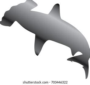 Hammerhead Shark Stock Vector Royalty Free Shutterstock