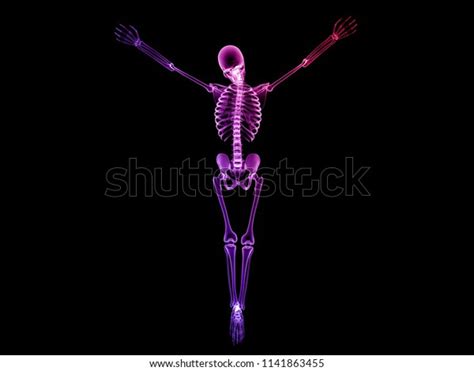 X Ray Human Body 3d Render 스톡 일러스트 1141863455 Shutterstock