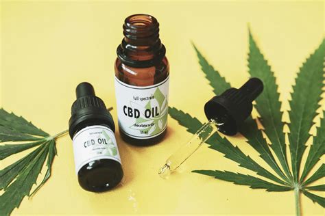 Tout savoir sur la CBD Amnésia Jean Louis Garret