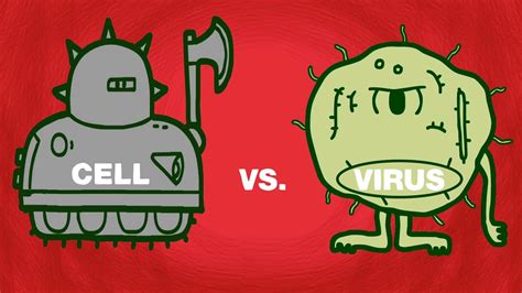 Cell vs. virus: A battle for health | The Kid Should See This