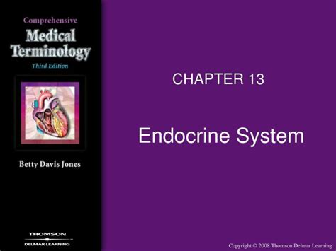 Ppt Endocrine System Powerpoint Presentation Free Download Id281441