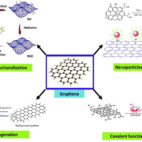 Scheme Showing The Covalent Functionalization Of Graphene With Ssdna